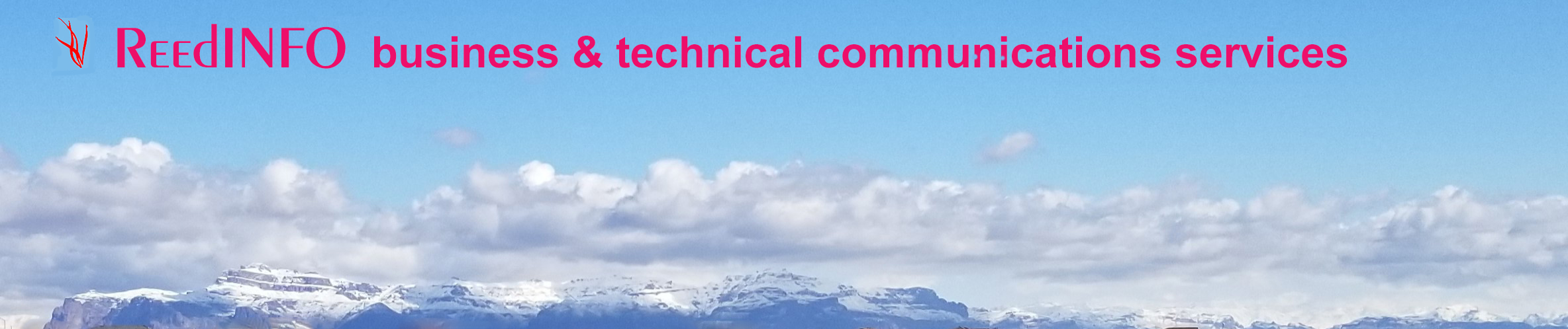 Reedinfo, technical communications, operating procedures, SOP, technical writing, manuals, writing